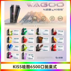 Kis5電子煙 Kiss拋棄式哇酷|WAGOO6500口一次性電子煙