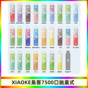 梟客XIAOKE|7500口可發光拋棄式電子煙 跑馬燈一次性